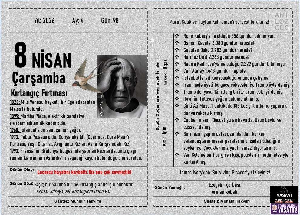 Kırlangıç Fırtınası 1